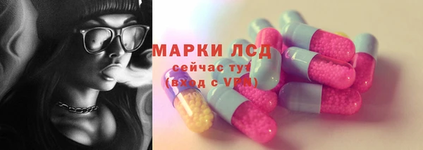 ПСИЛОЦИБИНОВЫЕ ГРИБЫ Алзамай