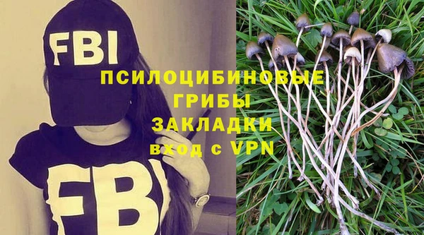прущая мука Армянск