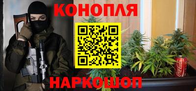 apvp Новоалтайск