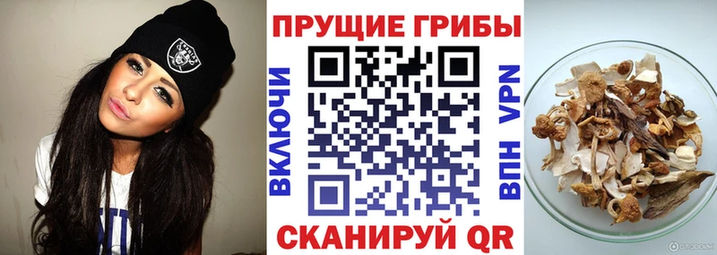 Псилоцибиновые грибы Magic Shrooms  Георгиевск 