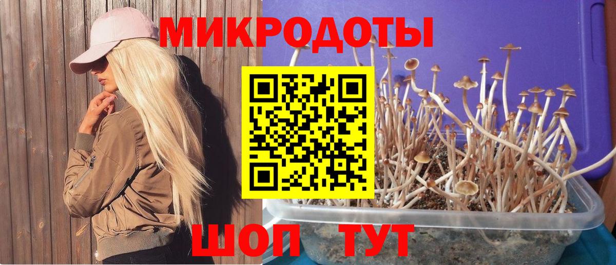 Псилоцибиновые грибы мухоморы  Вход с VPN  Георгиевск 